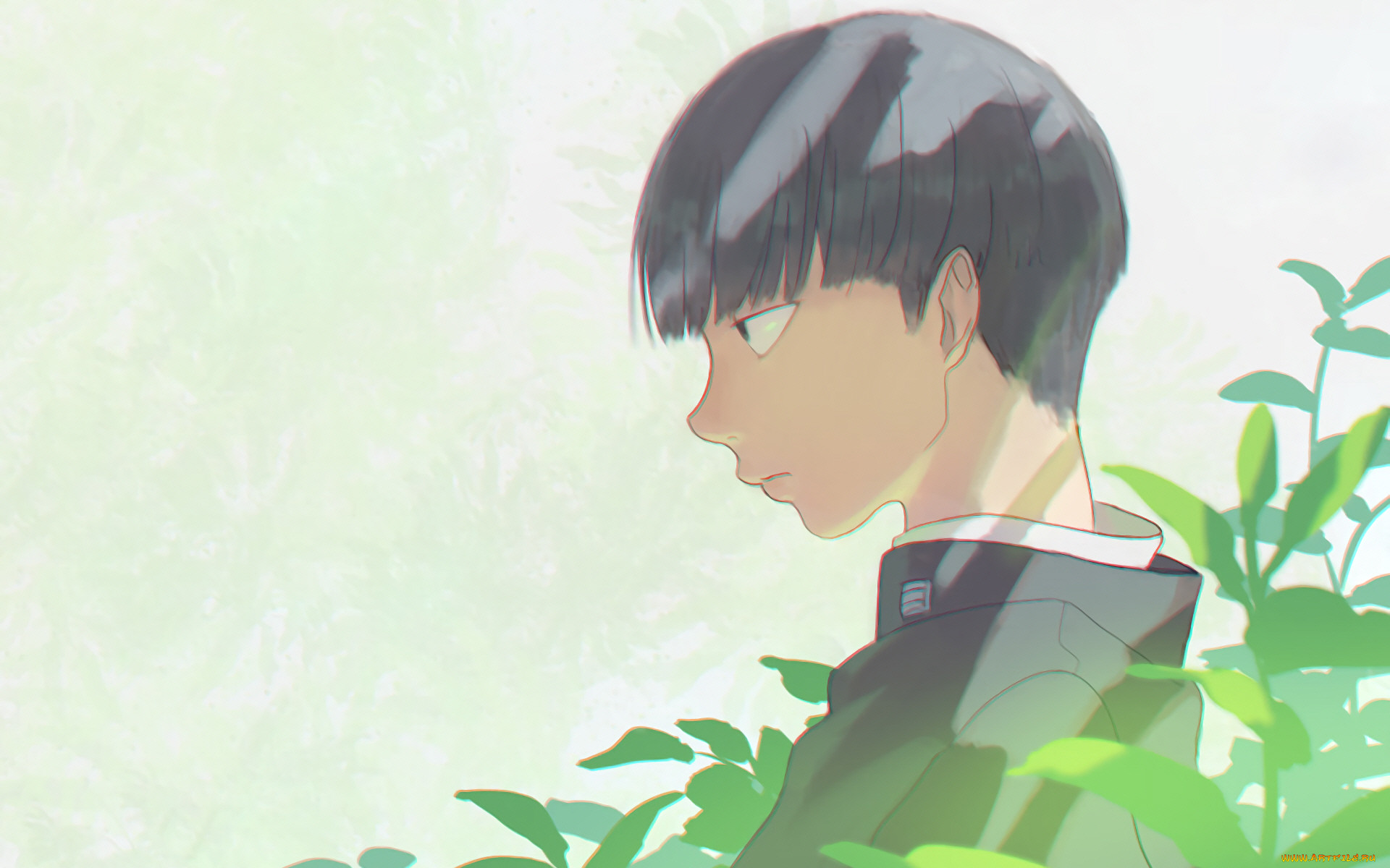, mob psycho 100, , , 100